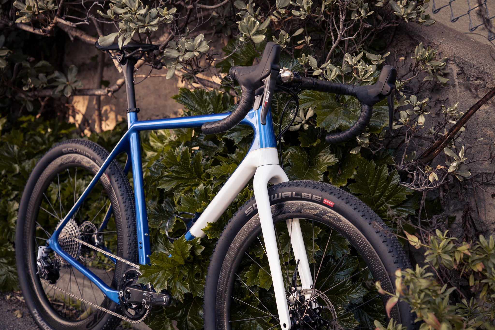 Bike of the Week: A Deep Blue U.P. With a Splash of Champagne