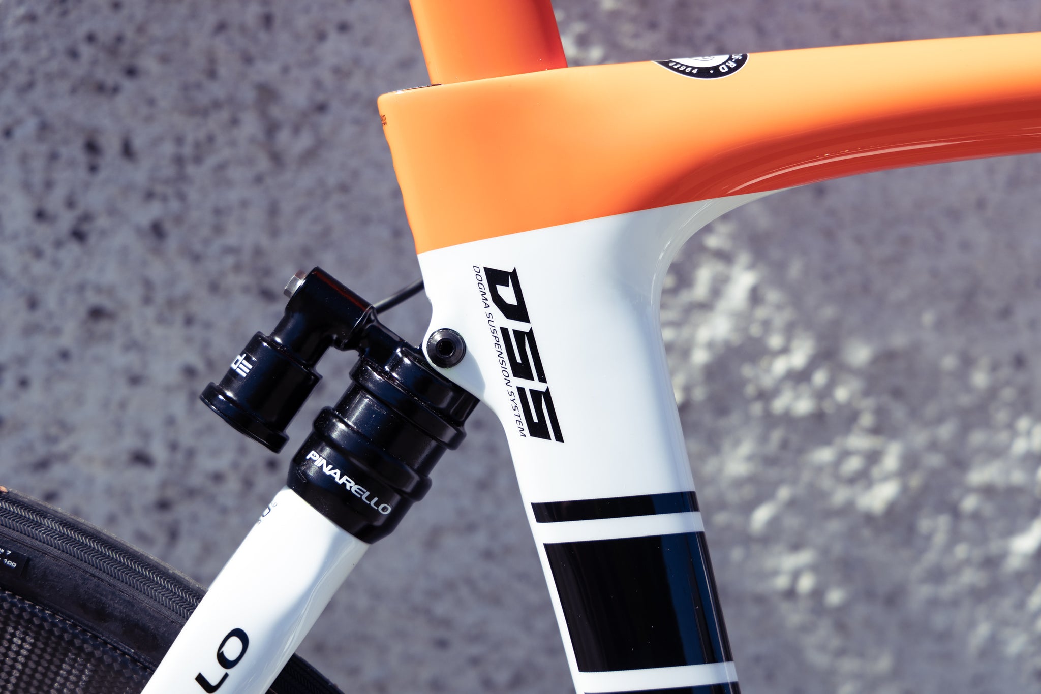 Gallery: An Orange and White Striped Dogma K10