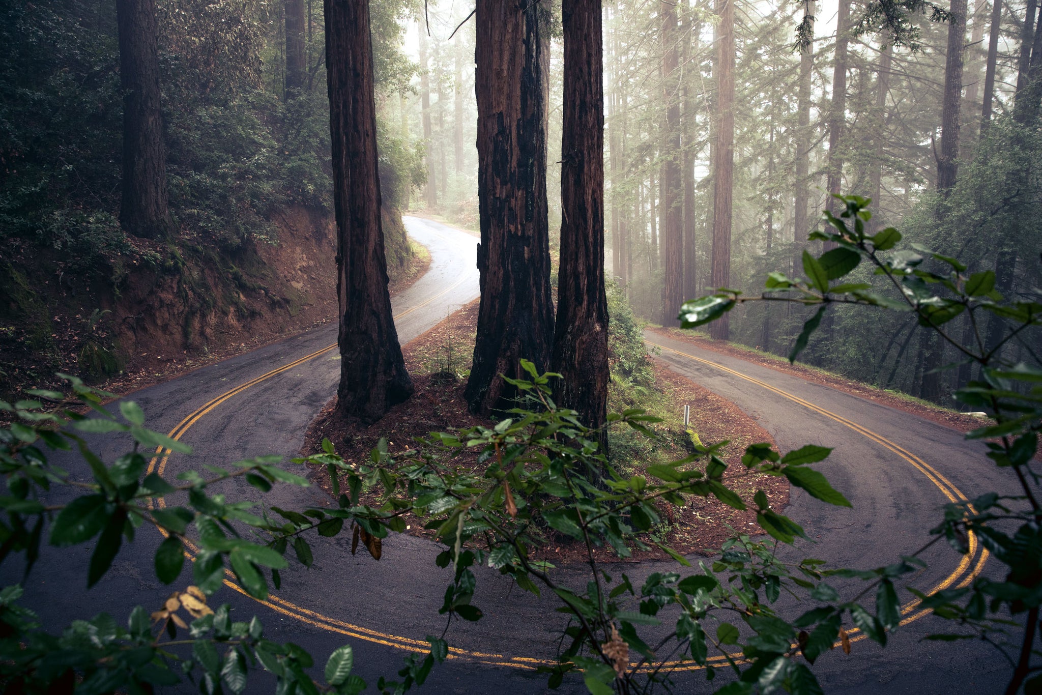 The AC Tour of Marin