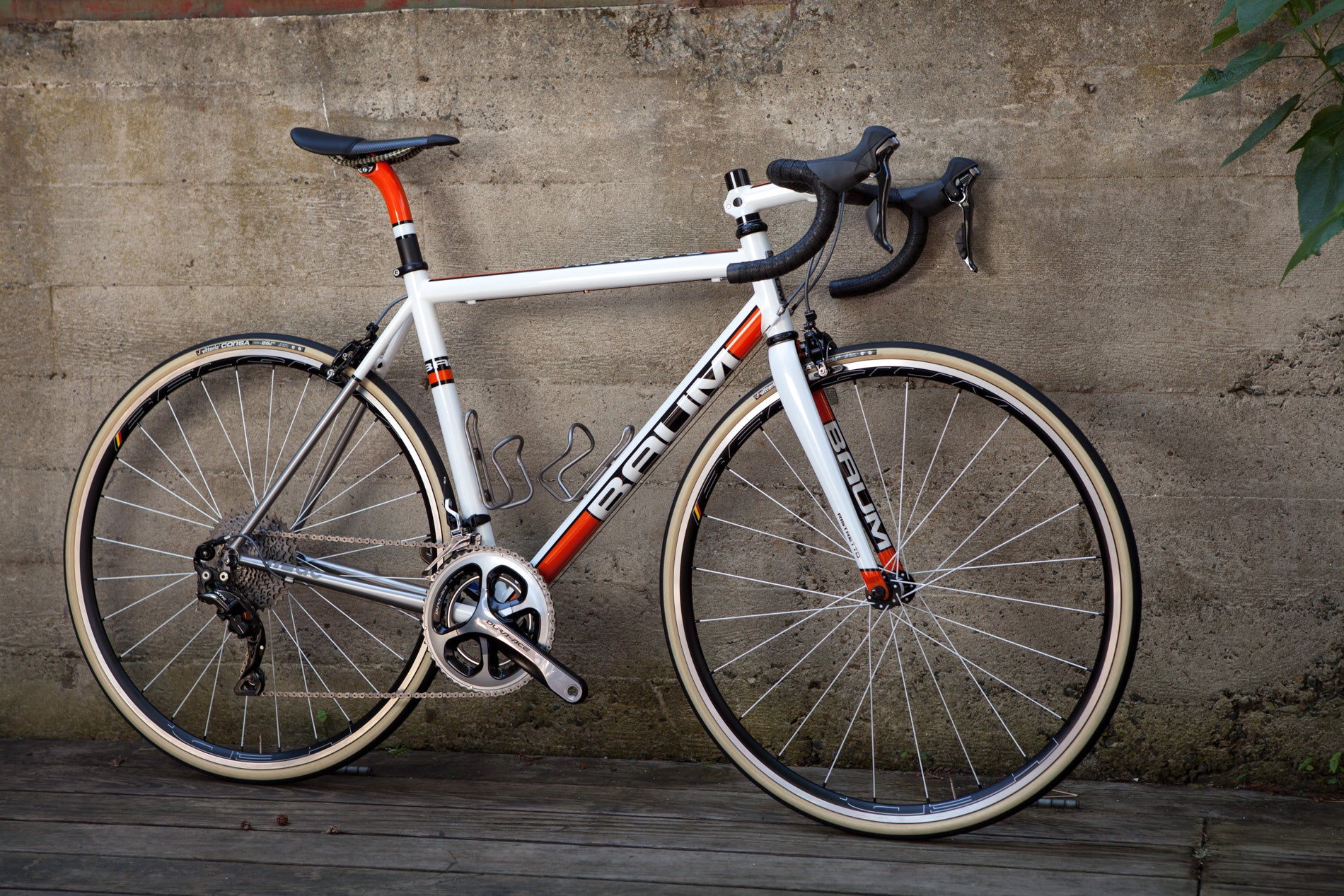 White and Orange Baum Corretto