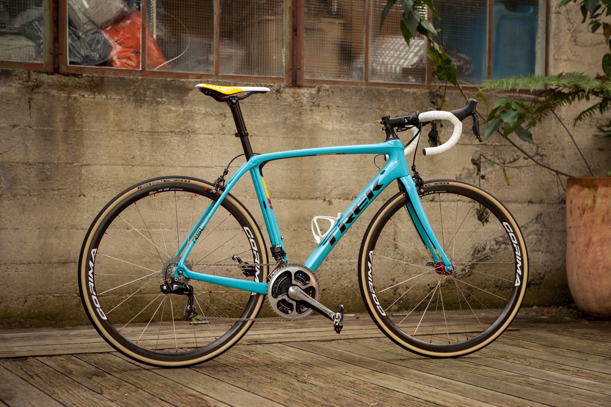 Classics Themed Trek Domane
