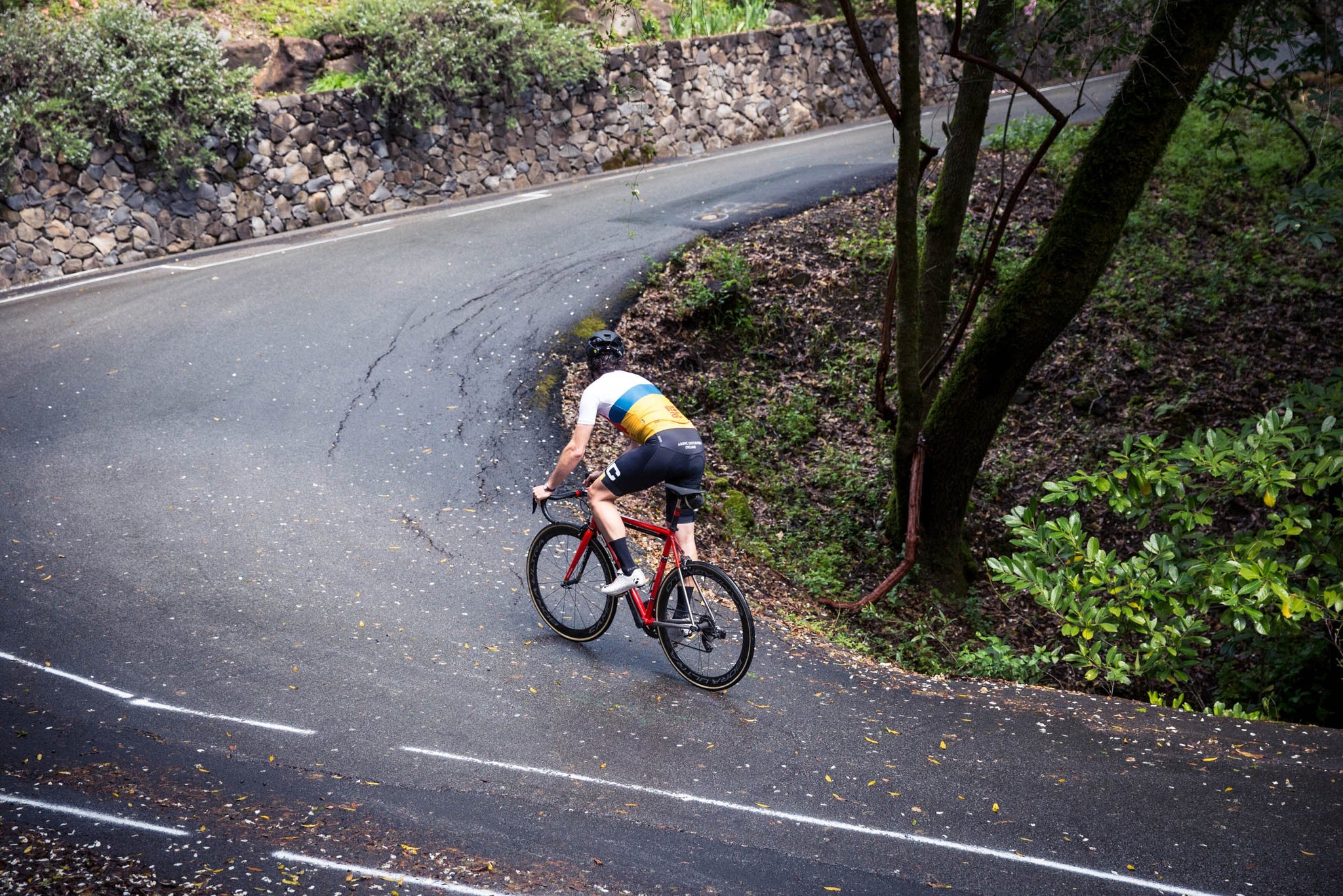 Mardennes: The Amstel Gold Homage