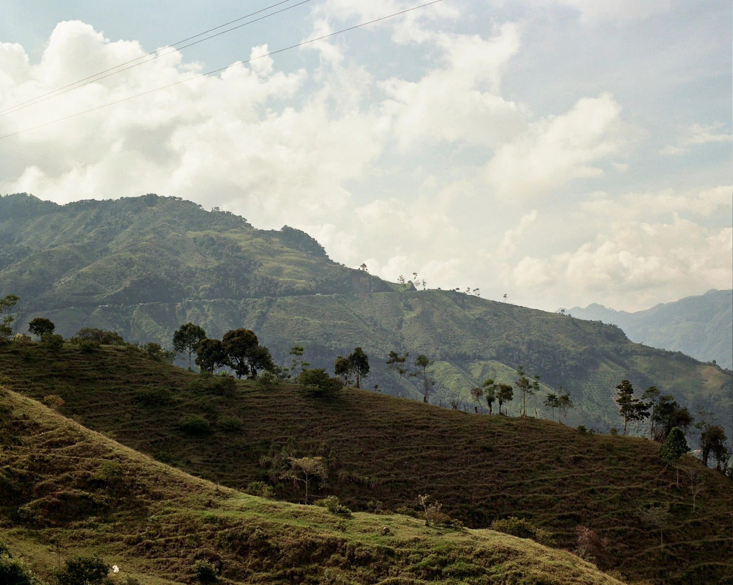 The Periphery: Alto de Letras