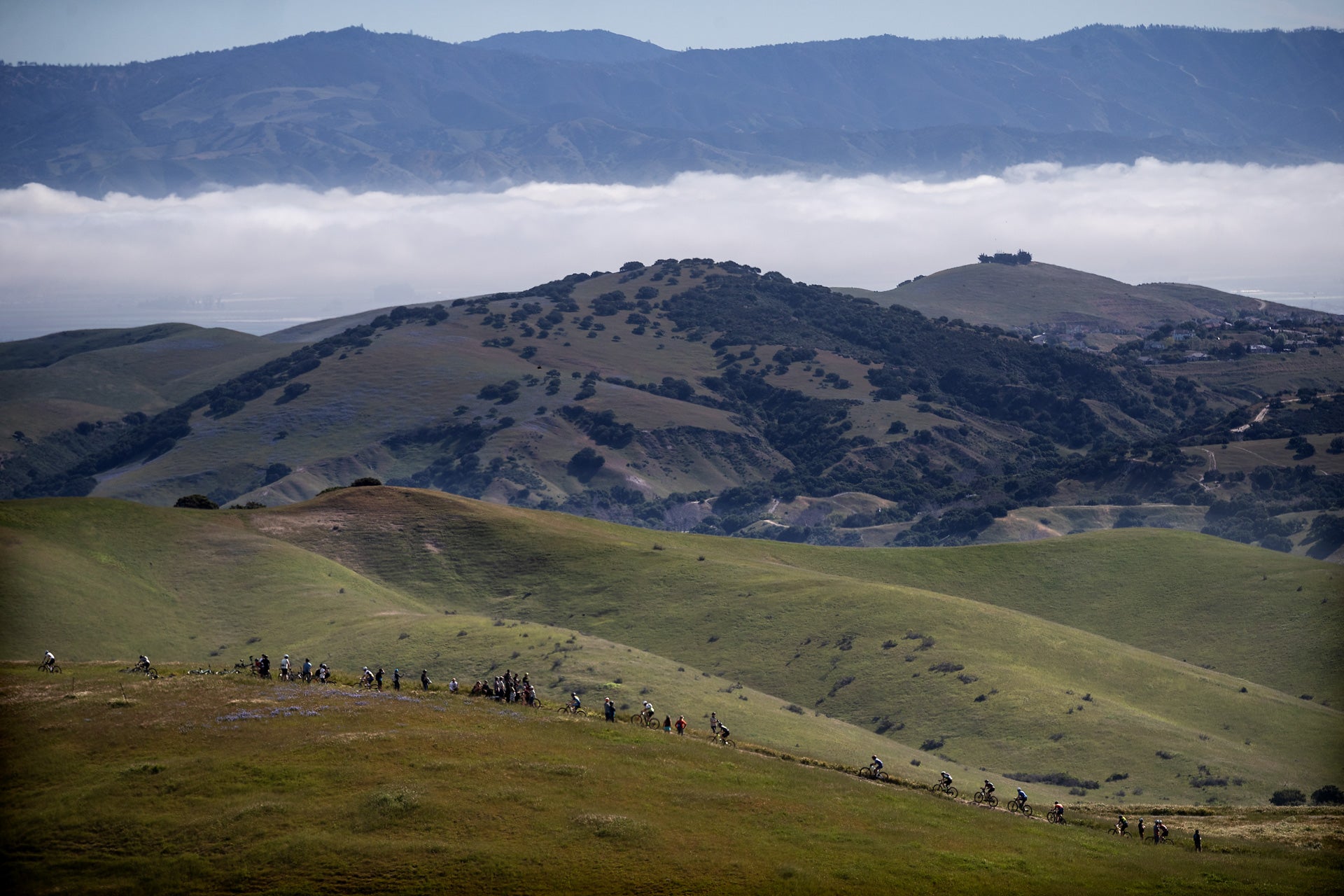 Better on Reflection: Skyler Taylor on Racing Sea Otter