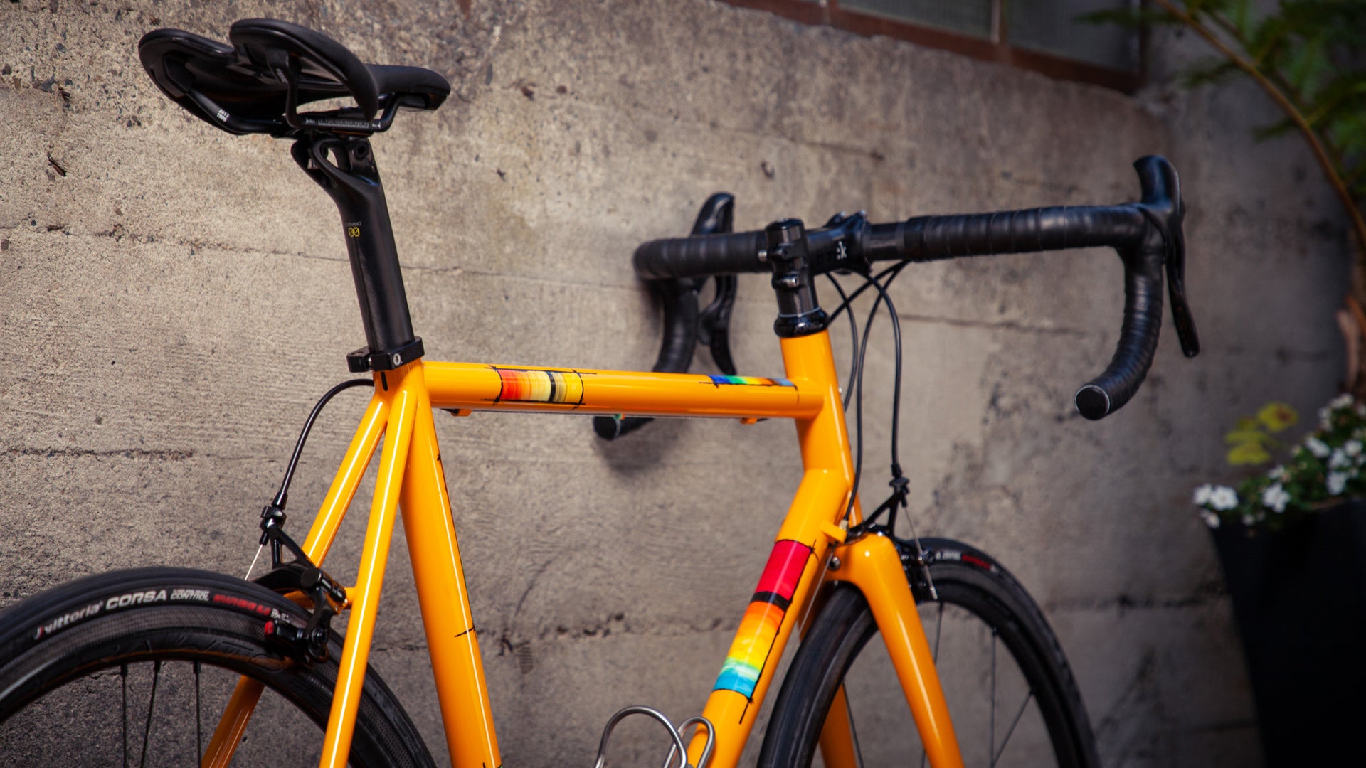 Bike of the Week: A Yellow Pegoretti Ciavete Dream