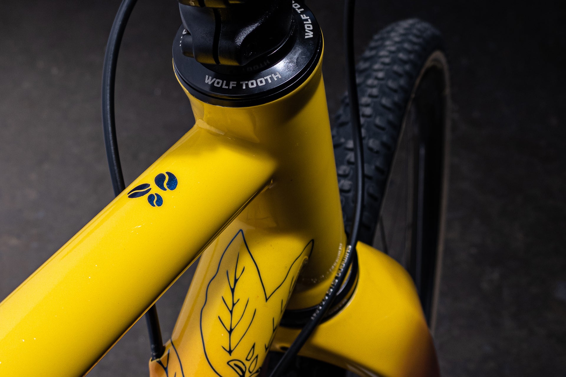 Custom Scarab Paramo