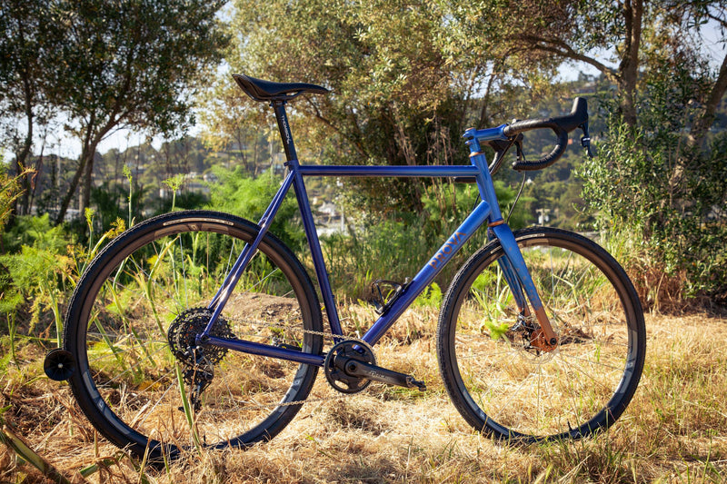 Custom Prova Molti