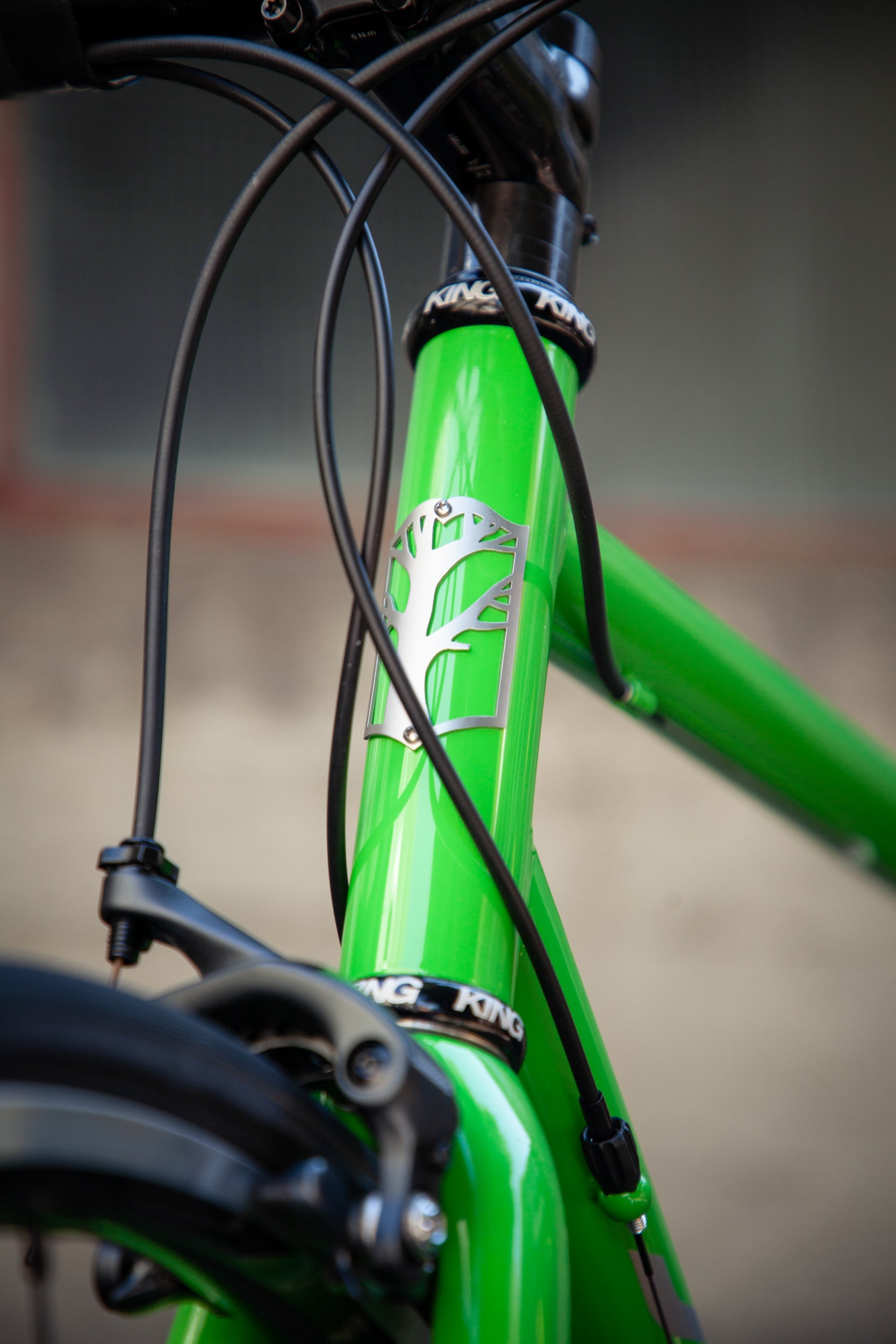 Bike of the Week: A Lime Green Titanium Steed