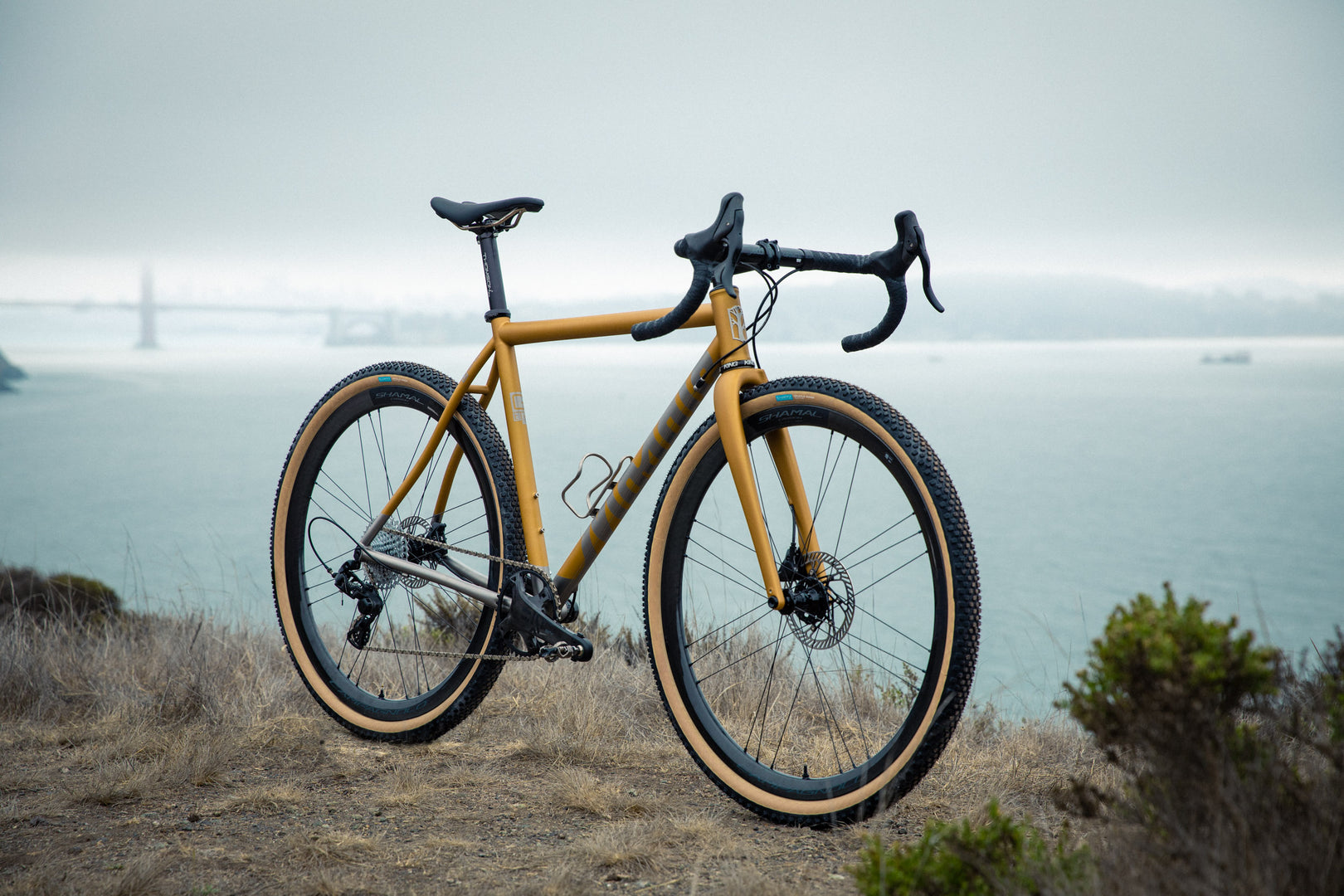 Gallery: Our Mosaic GT-1 Campagnolo Ekar Test Bike
