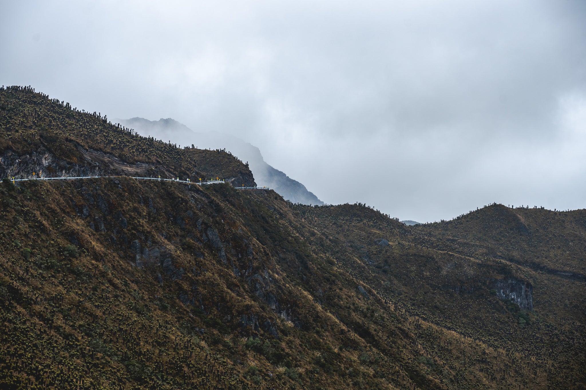 Escarabajos Tour with Scarab Cycles