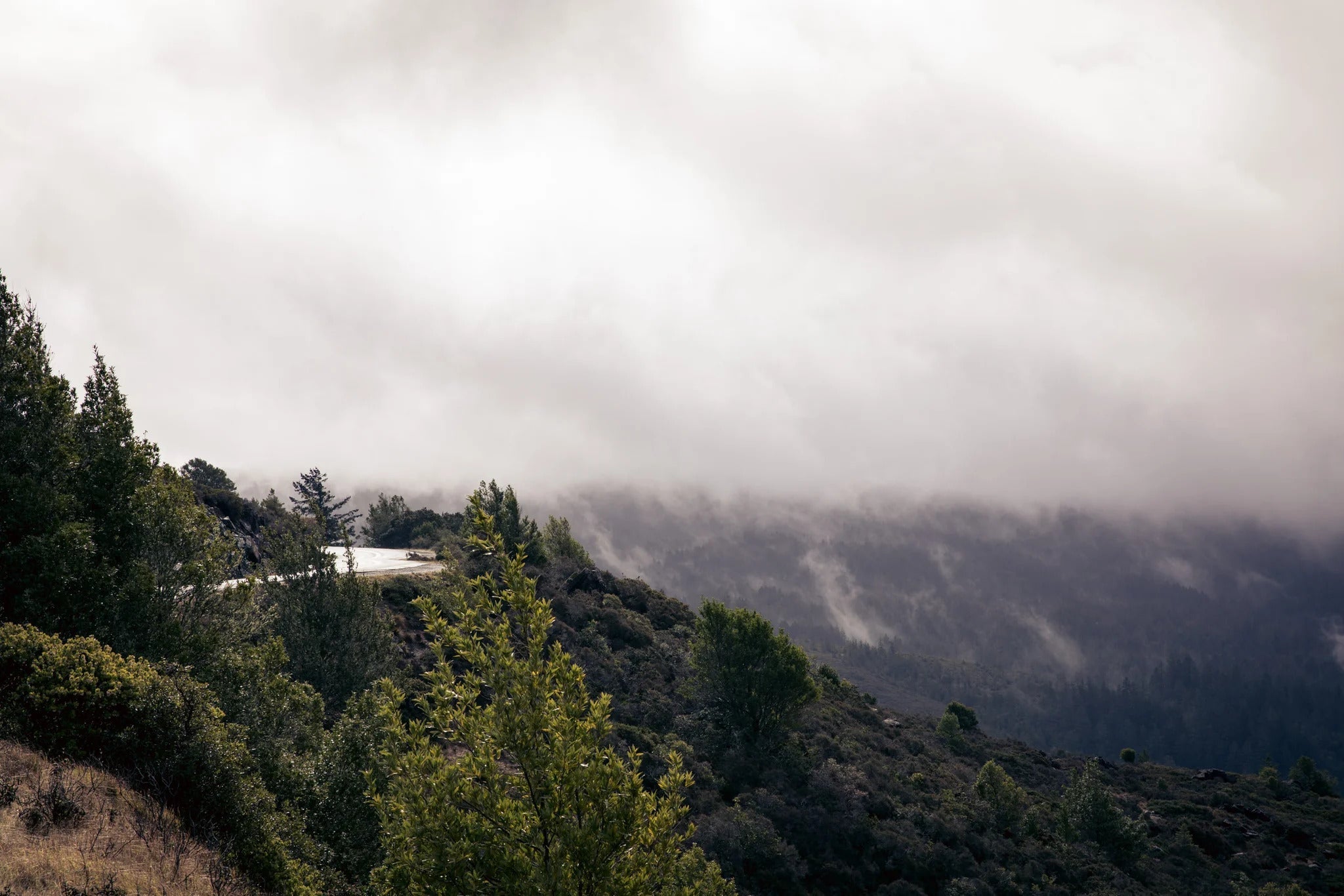 Marin Rides: Alpine Dam (Road)