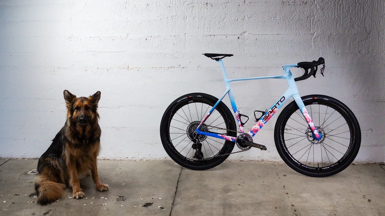 BOTW: SARTO RASO GRAVEL, CHERRY BLOSSOMS