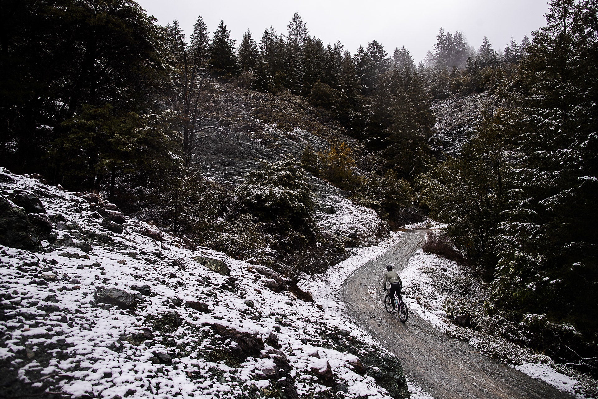 Once-in-a-Lifetime: Carving Fresh Tracks on the Slopes of Mt. Tamalpais