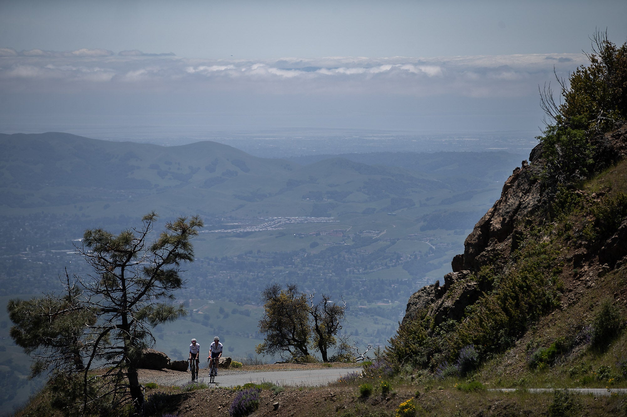 California Climbing: The Best Road Bike Climbs in The Golden State