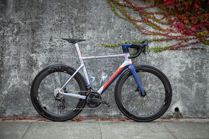 Bike of the Week: A Metallic Blue Sarto Lampo Plus – Above Category