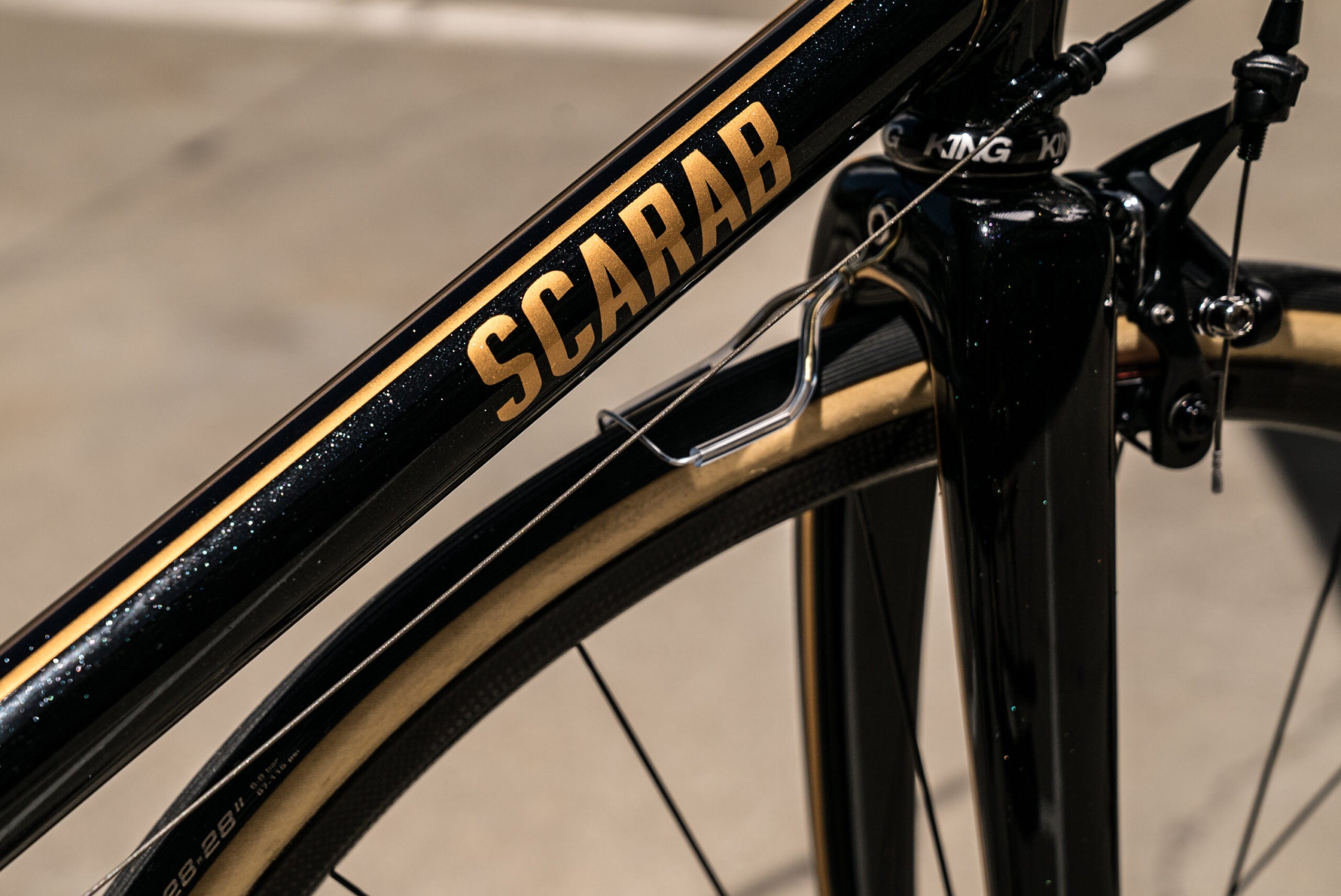 Custom Scarab Cycles Linea
