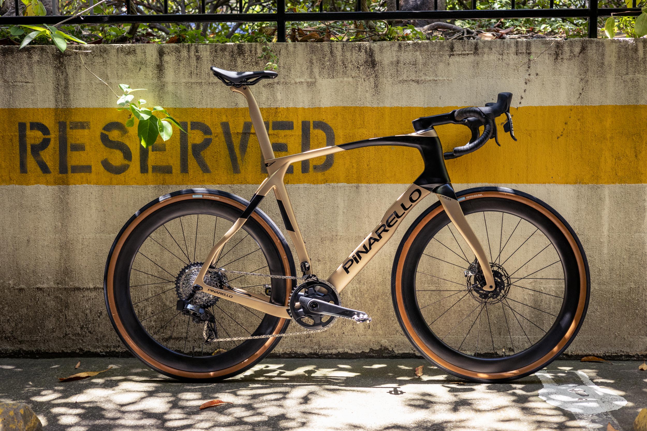 293A2749.jpg?v=1654194531